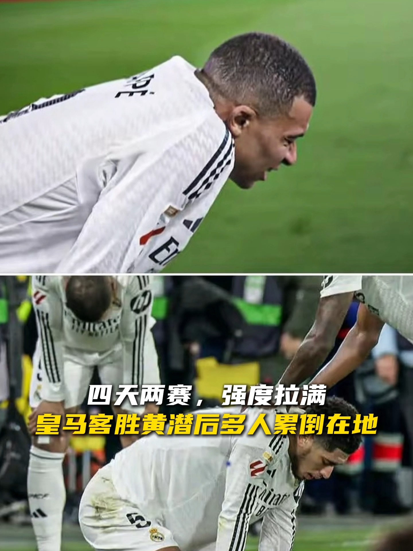 博洛尼亚客场不敌帕尔马，吞下两连败